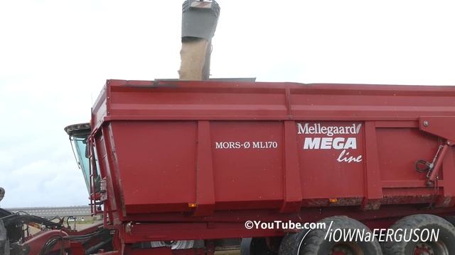 Case IH 8240 Axial-Flow Harvesting Wheat w/ 30ft. Header | Case IH 210 & 160 Puma | DK Agriculture смотреть онлайн