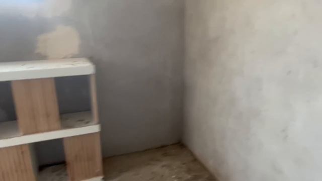 Худжанд в гостях у голубевода Рахимчёна  черноносые голуби .