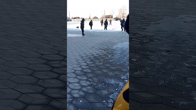 слово бобра тополь на осфальте смотреть онлайн