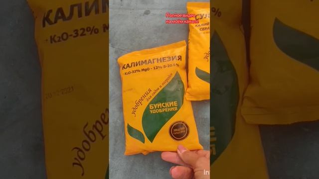 Последняя осеняя подкормка гортензий и других растений. Видео от 24.09.2024 года.