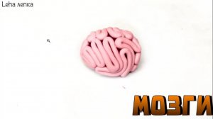 Как слепить Мозги из пластилина | Лепим Мозг | Leha лепка