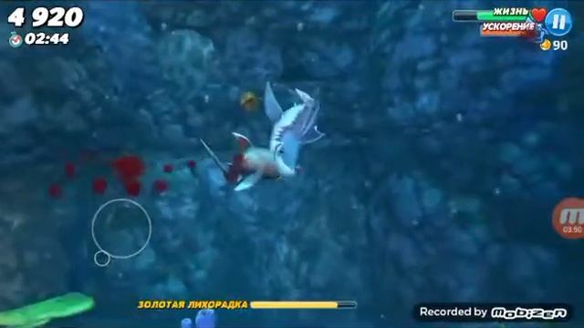 Hungry shark #5 тест новой акулы смотреть онлайн