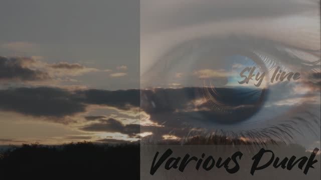 SKYLINE - ГОРИЗОНТ - VARIOUS PUNK #music #electronicmusic #skyline #variouspunk