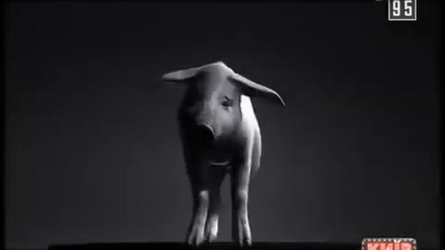 Ukraine's Zelenskiy Dances For LGBT? Kvartal 95