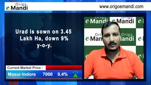 Pulses Outlook by Origo e Mandi || 7 July 2022 смотреть онлайн