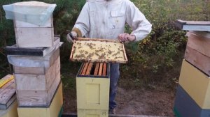 работаю на лесном точке