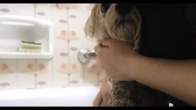 WHISKY | DOCUMENTARY SHORT FILM смотреть онлайн