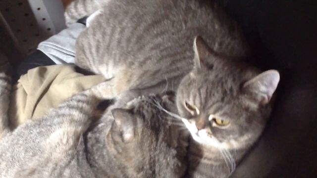 Настоящие брат и сестра❤️❤️❤️❤️❤️❤️❤️❤️❤️❤️❤️❤️❤️ смотреть онлайн