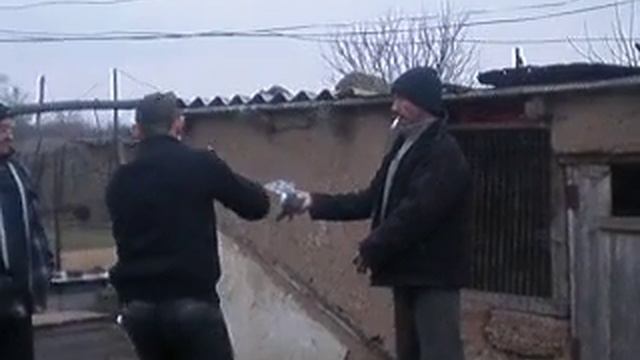 голуби51.AVI смотреть онлайн