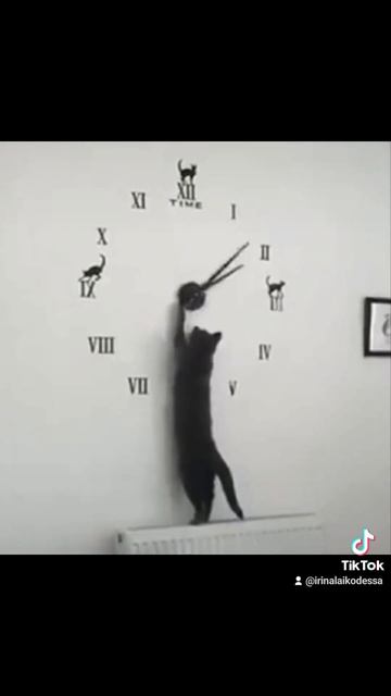 31.03.24 Переводим часы на час вперед в Украине 😃☝️#украина #часы #время #доброеутро смотреть онлайн