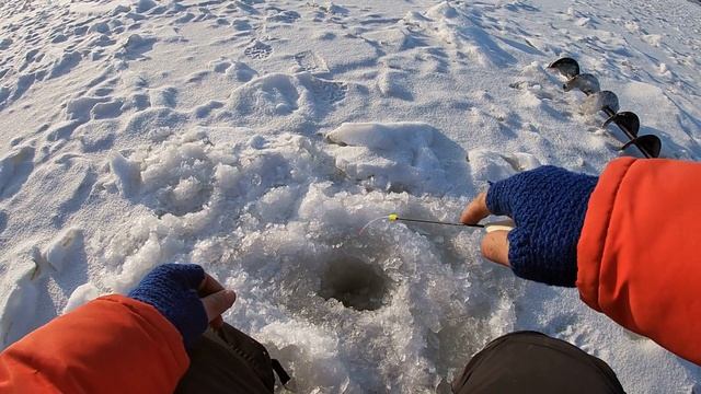 Нашел ЗАВЕТНУЮ лунку и ЛИФТАНУЛ ОКУНЯ! Ребята показали ХИТРУЮ снасть. ОНА КОСИТ ОКУНЯ!!! Ловля окуня смотреть онлайн