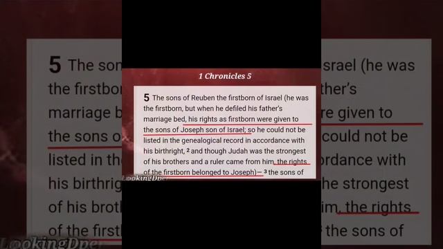 Birthright belonged to Joseph, not Judah. Watch and find out. смотреть онлайн