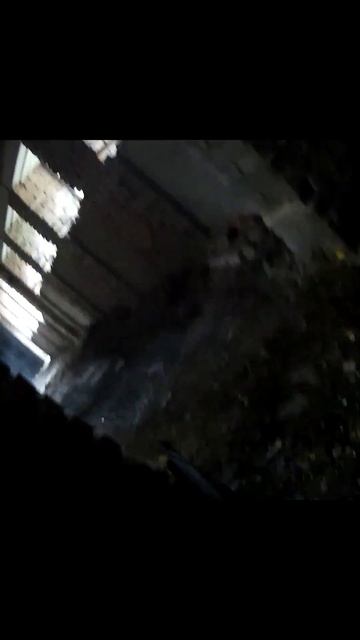 Страйкбол приколы и смешные моменты Airsoft #shorts #airsoft #страйкбол смотреть онлайн