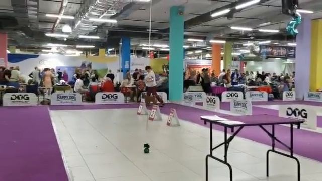 Хьюго юниор. Первая победа смотреть онлайн