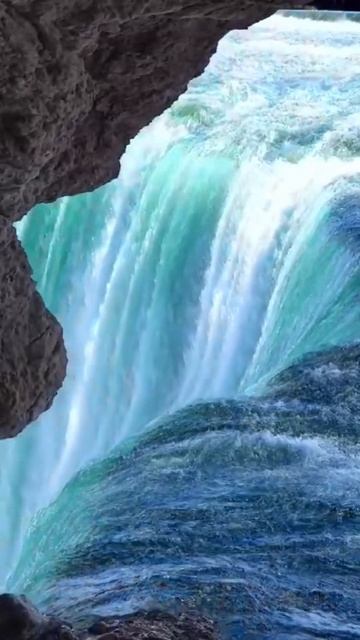 Весы и его Цветы м смотреть онлайн