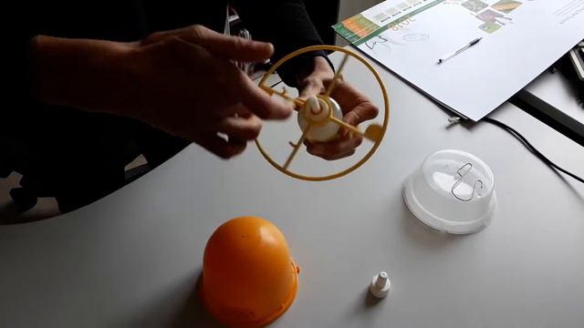 Montage piège Drosophila suzukii смотреть онлайн