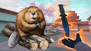 бобер сделал мне мувик😍