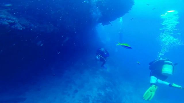 Giant Mantas, Turtles and more - Scuba Diving Maldives (relaxing) смотреть онлайн