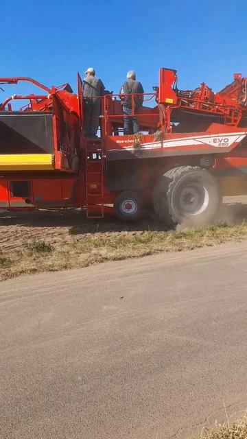 Ein Massey Ferguson Mit einem Kartoffelroder 🚜 🥔 смотреть онлайн