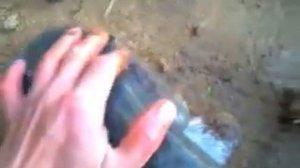 сом в апреле