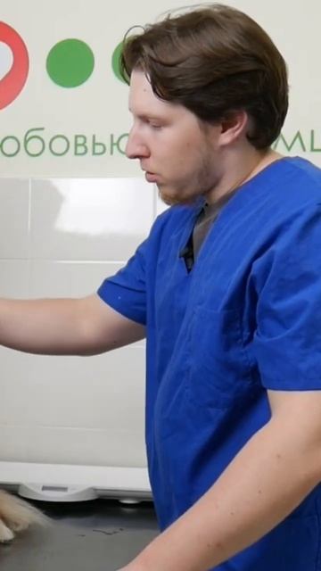 тест на определение проприорецепции у животных смотреть онлайн