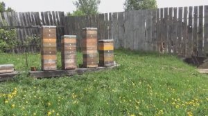 Пора начинать делать отводки