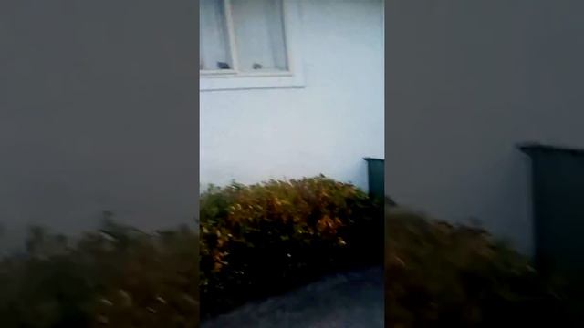 Call the opps, show up to his house смотреть онлайн