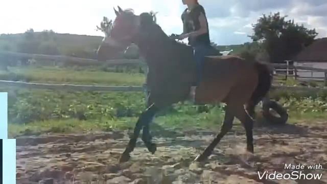 Полина и Буклет смотреть онлайн