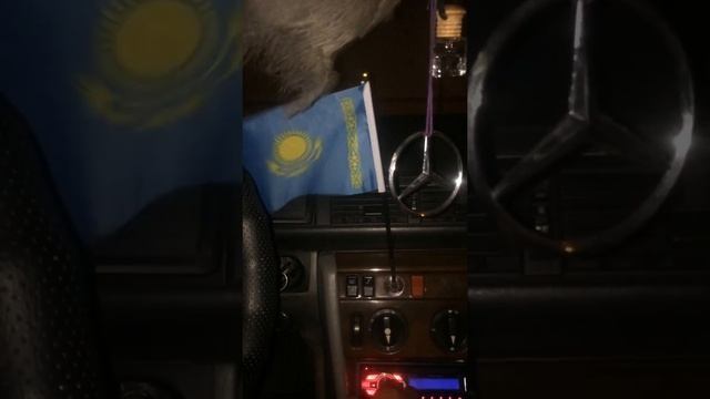 W124 кок тудын желбирегени смотреть онлайн
