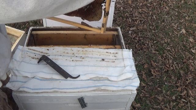 Сжимаю зимующую семью сидящую в клубе. смотреть онлайн