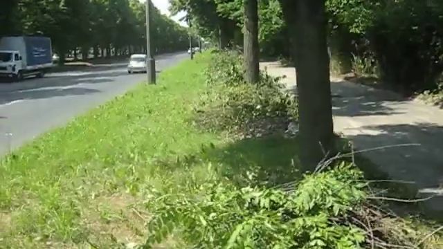 Relacja z Alei Unii Lubelskiej w Łodzi 2 смотреть онлайн