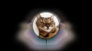 ЯЩЕРИЦА МЕМ [TURBOSH REMIX]