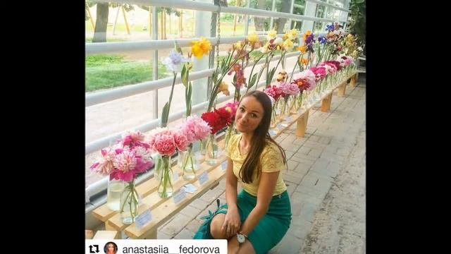 Выставка пионов в Аптекарском Огороде 2016г смотреть онлайн