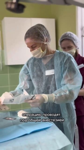 На прием к офтальмологу пришел французский бульдог Купер🐶 смотреть онлайн