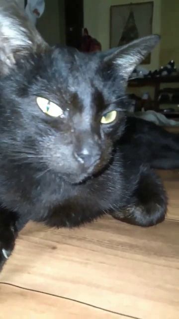 my mingming beautiful eyes 👀 😁😘 смотреть онлайн
