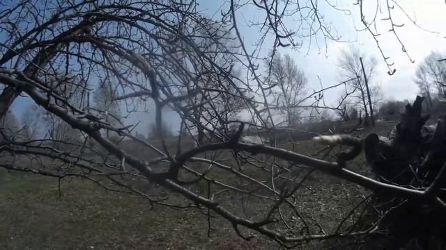 Первые в этом году шашлыки. смотреть онлайн