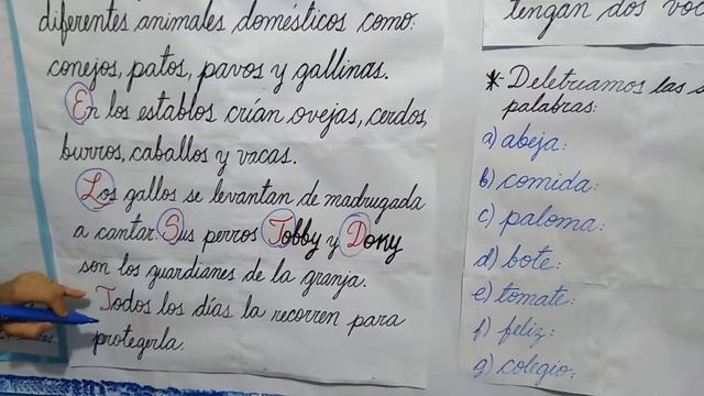 Clase Virtual Miss Tania Colegio Británico смотреть онлайн