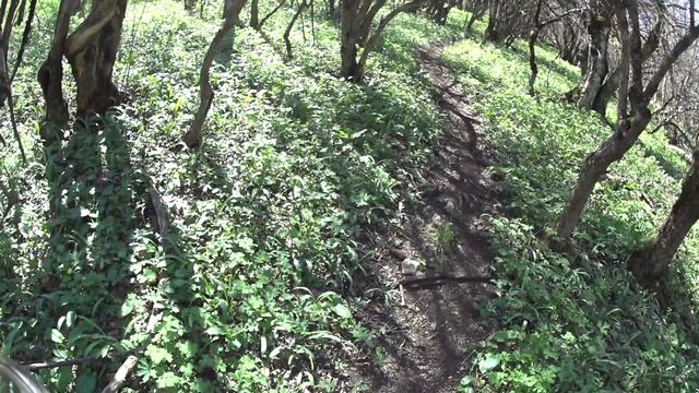 №175. 6 серия ВИДЕО