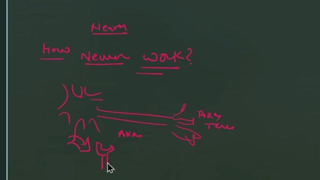 Structure of Neuron смотреть онлайн