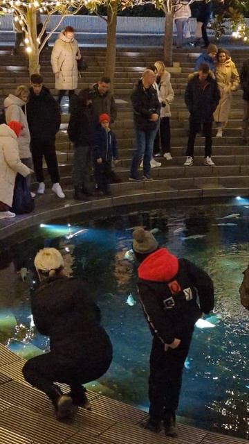 ЖИВЫЕ РЫБЫ в парке Краснодар ЗИМОЙ 2024 #краснодар #наюг #зима #новыйгод смотреть онлайн
