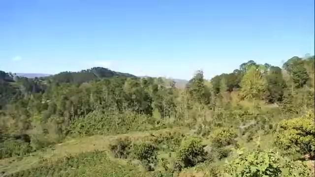 COMSA y uso de Biotecnologias смотреть онлайн