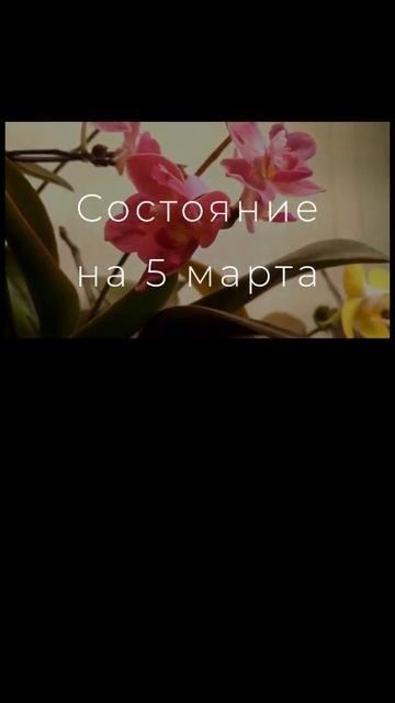 Эксперименты по размножению орхидей. Выпуск 3. Первые потери смотреть онлайн