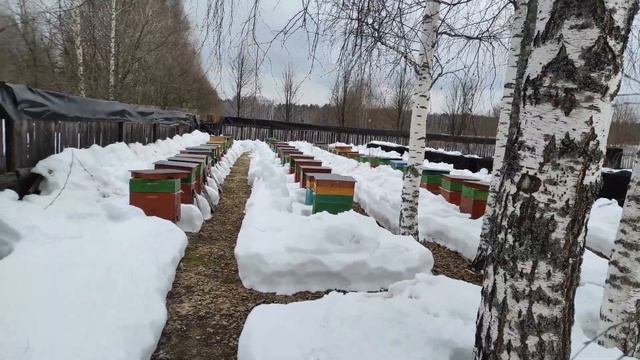 Потери на основном точке.Раздаем канди. смотреть онлайн