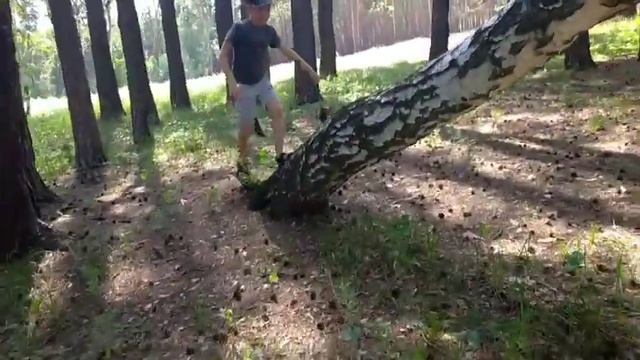 24 часа в лесу челендж 2 часть смотреть онлайн