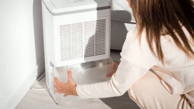 How Do I Make My Dehumidifier Water Drinkable смотреть онлайн