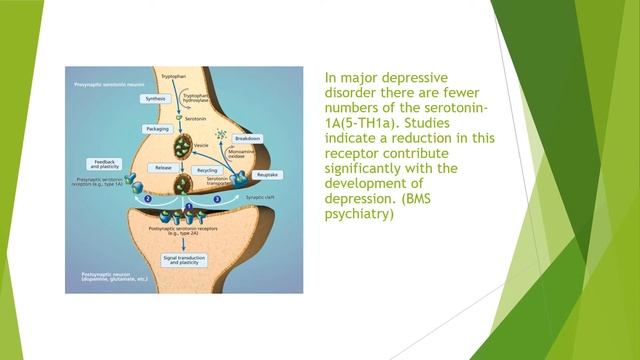Major Depressive Disorder PP смотреть онлайн