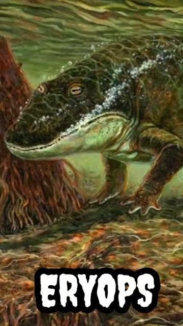 Os Ancestrais dos Anfíbios #animais #curiosidades #biologia #explore #shorts смотреть онлайн