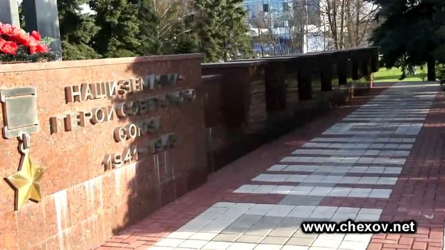 Решается судьба голубых елей на Советской площади смотреть онлайн