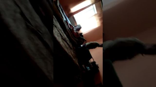 Угроза посадить в тюрьму*** смотреть онлайн