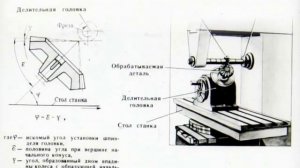 ДЕЛИТЕЛЬНЫЕ ГОЛОВКИ